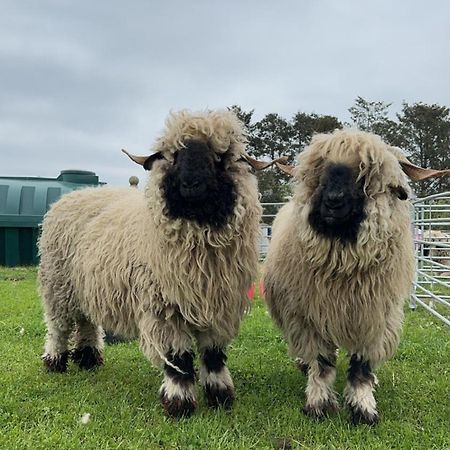 Willa Glampods Glamping Pod - Meet Highland Cows And Sheep Elgin Zewnętrze zdjęcie