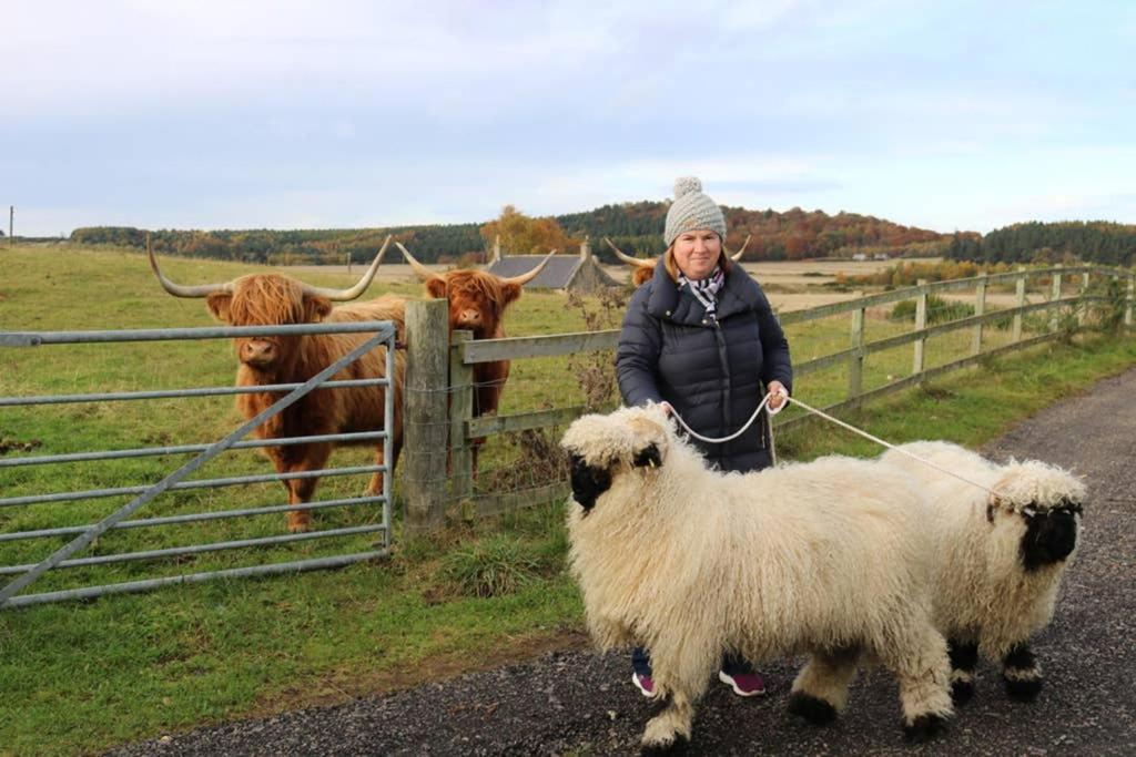 Willa Glampods Glamping Pod - Meet Highland Cows And Sheep Elgin Zewnętrze zdjęcie