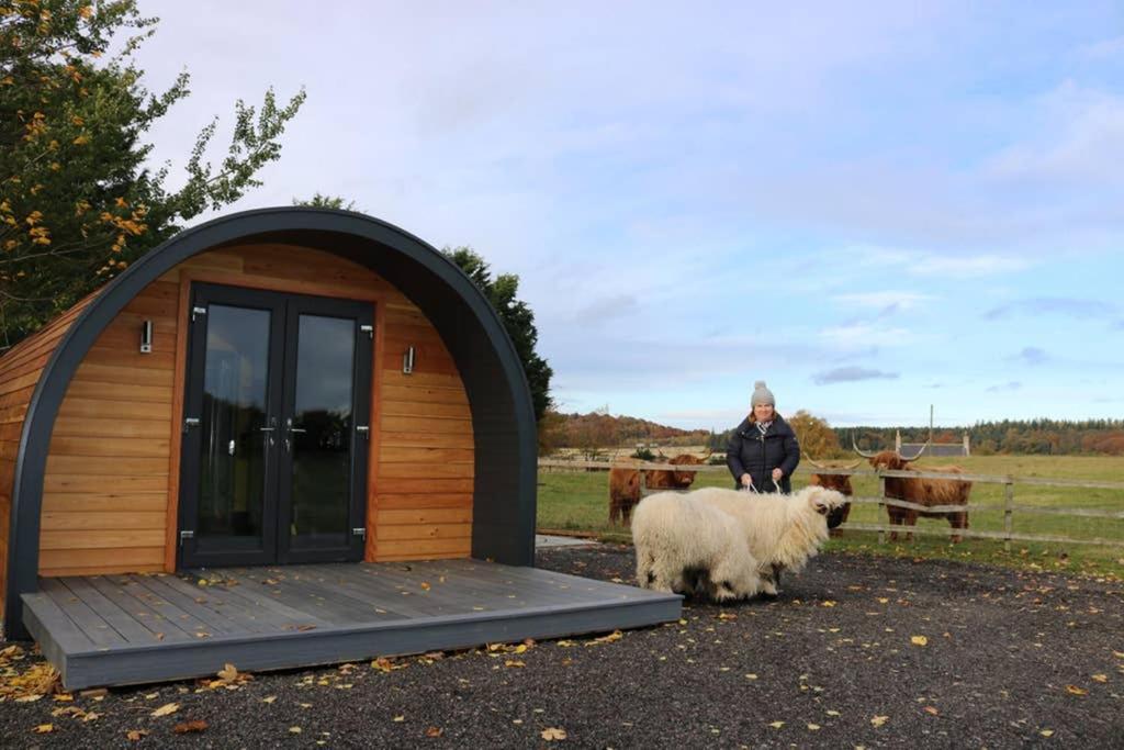 Willa Glampods Glamping Pod - Meet Highland Cows And Sheep Elgin Zewnętrze zdjęcie