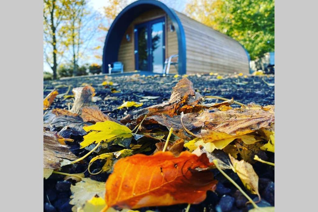 Willa Glampods Glamping Pod - Meet Highland Cows And Sheep Elgin Zewnętrze zdjęcie